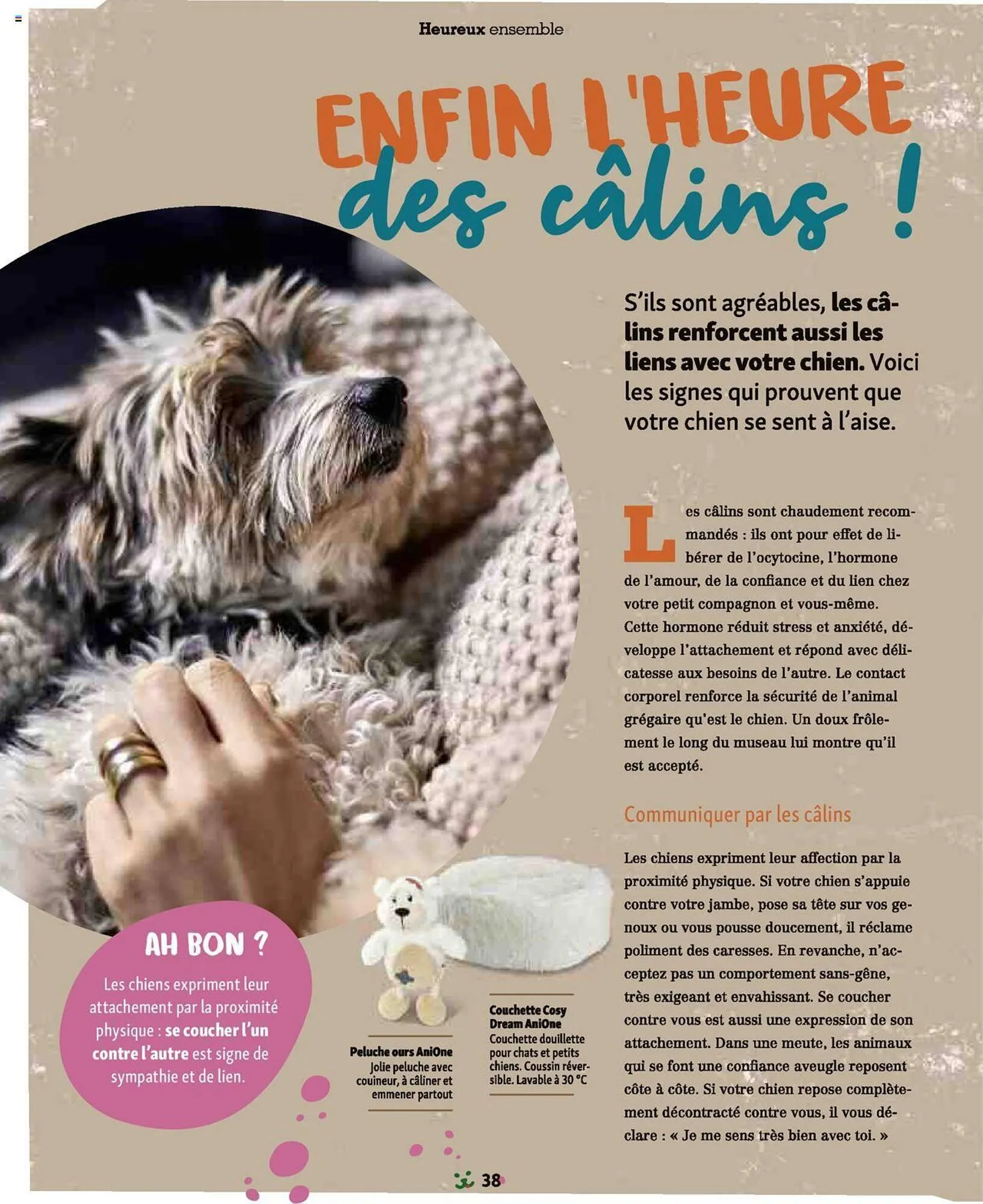 Catalogue Maxi Zoo du 1 septembre au 3 novembre 2024 - Catalogue page 38
