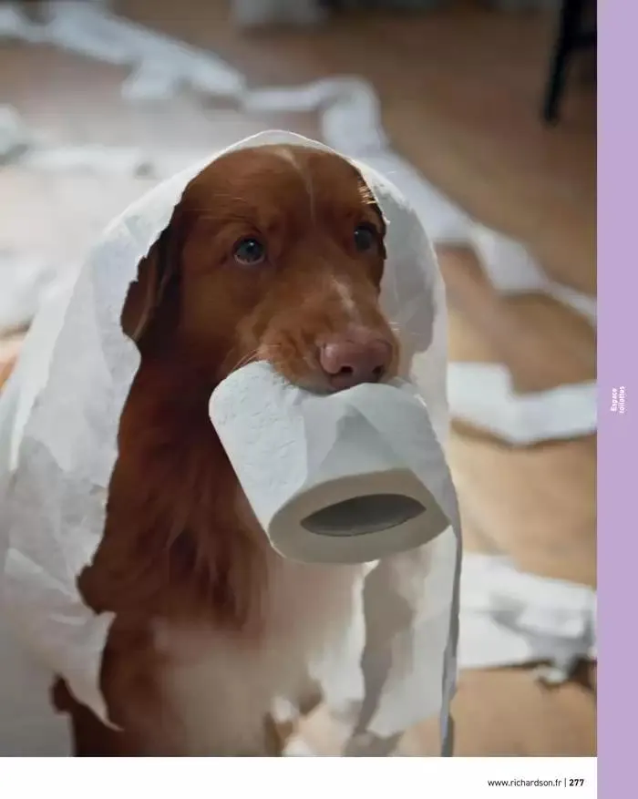 SALLE DE DE BAINS ET CARRELAGE 2025 du 11 avril au 31 décembre 2025 - Catalogue page 279