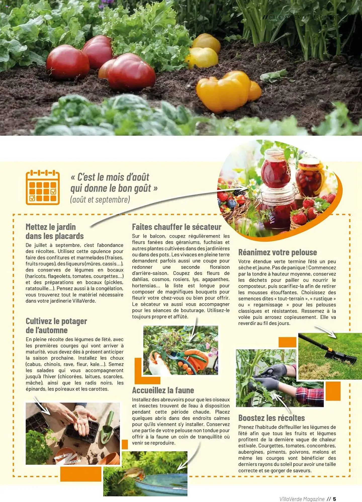 Catalogue VillaVerde du 25 juin au 22 juillet 2025 - Catalogue page 5