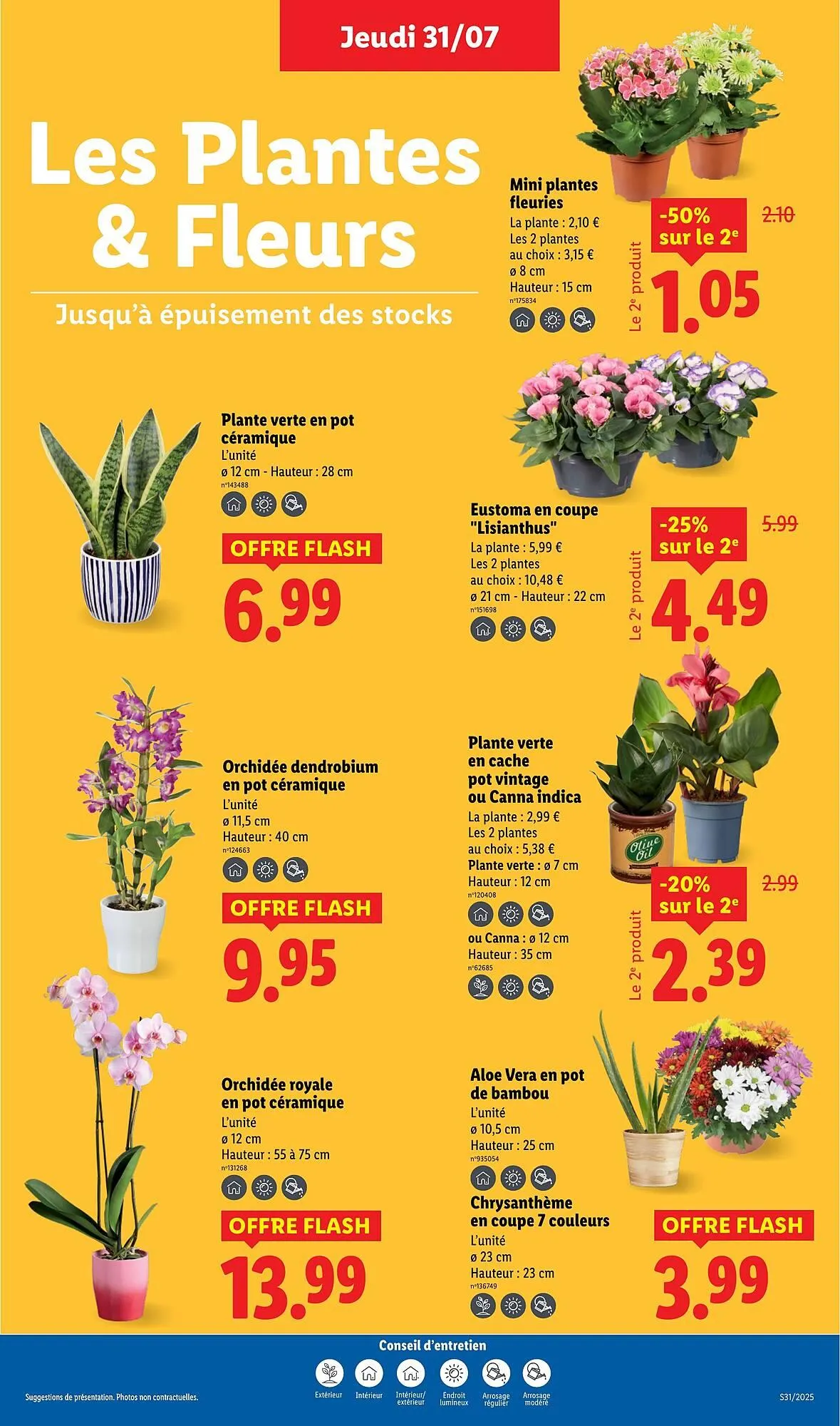 Catalogue Lidl du 31 juillet au 6 août 2025 - Catalogue page 29