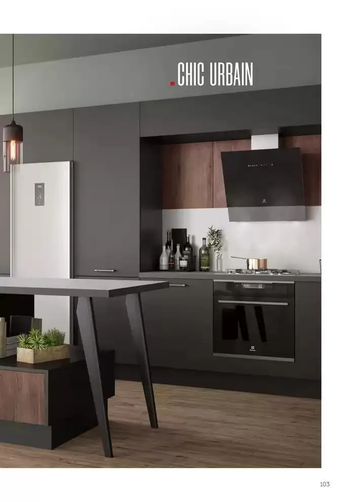 VOUS NE TROUVEREZ PAS VOTRE CUISINE DANS CE CATALOGUE du 16 janvier au 30 avril 2025 - Catalogue page 103