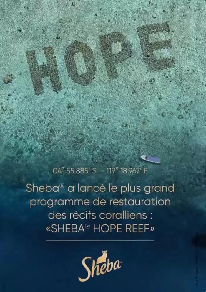 Le guide CHIENS & CHATS du 30 avril au 31 décembre 2025 - Catalogue page 2