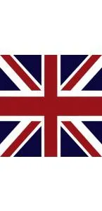 Lot de 20 Serviettes intissé British 25 x 25 cm