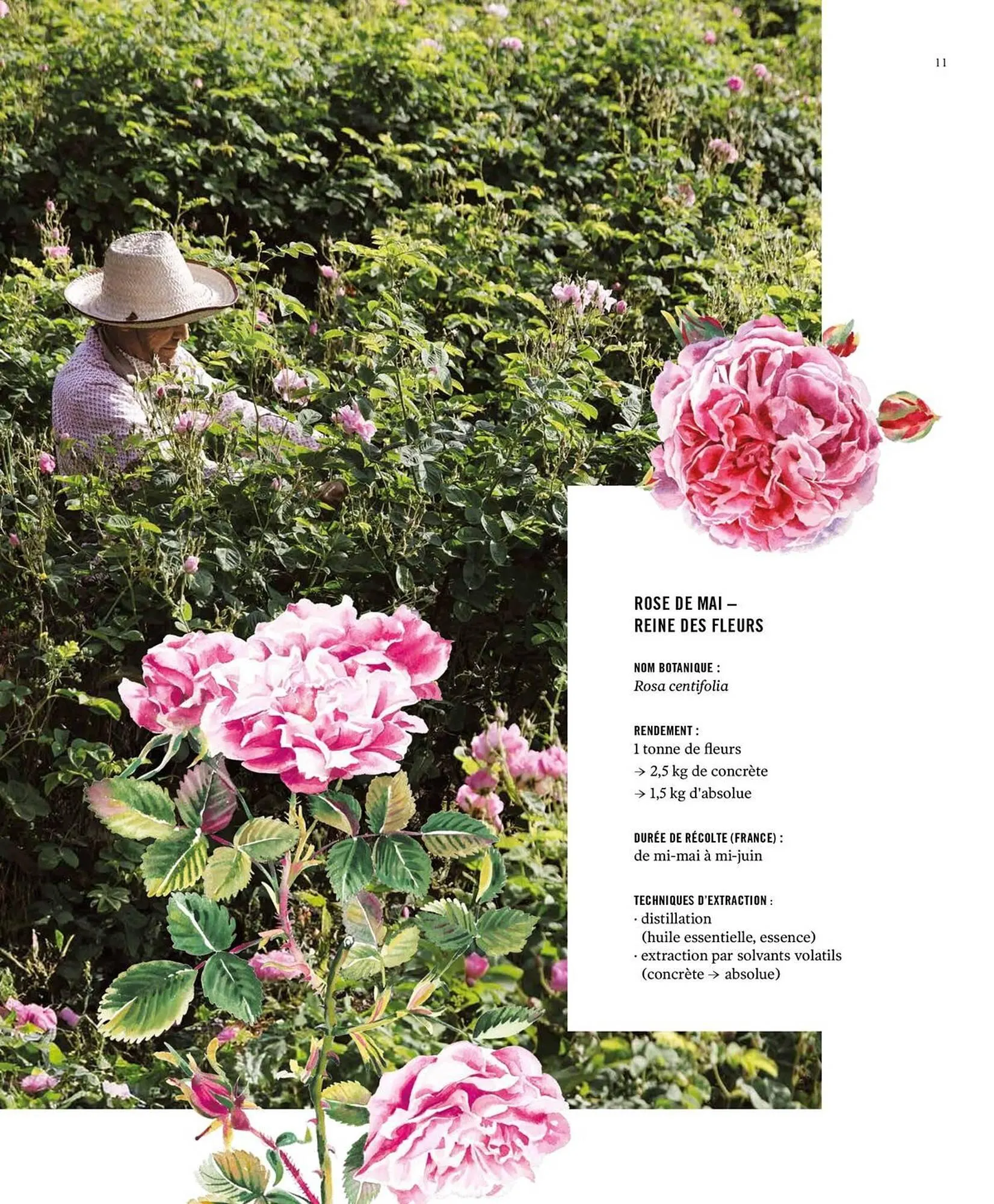 Catalogue Fragonard du 9 mars au 20 septembre 2026 - Catalogue page 11