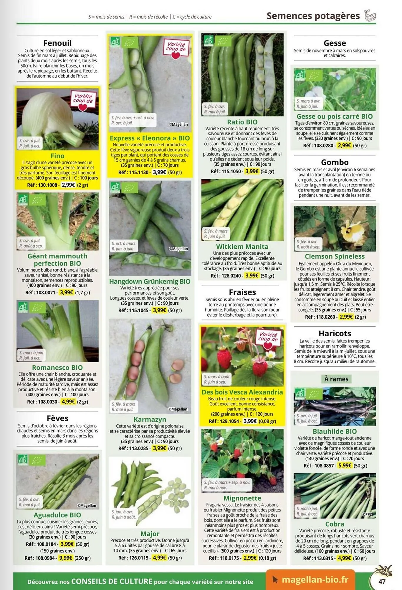 Catalogue Magellan du 1 janvier au 31 décembre 2026 - Catalogue page 47