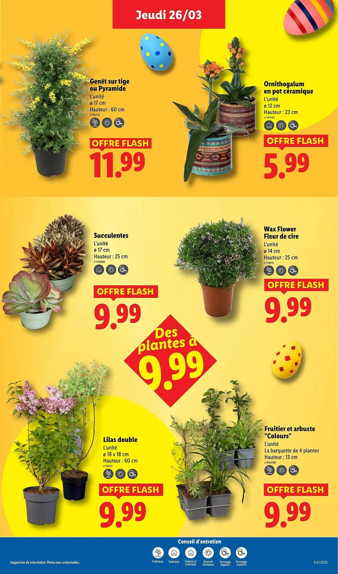 Catalogue Lidl du 26 mars au 1 avril 2026 - Catalogue page 27