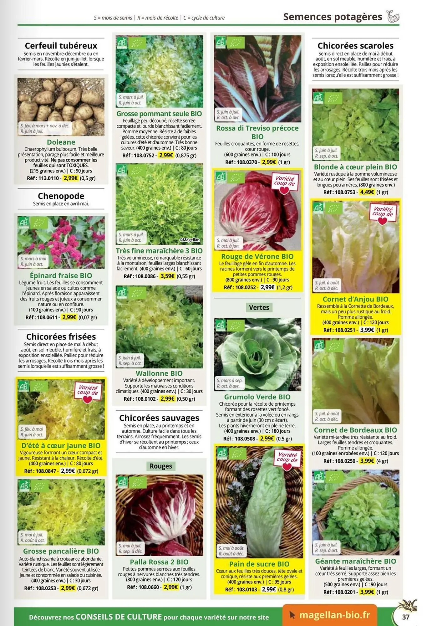 Catalogue Magellan du 1 janvier au 31 décembre 2026 - Catalogue page 37