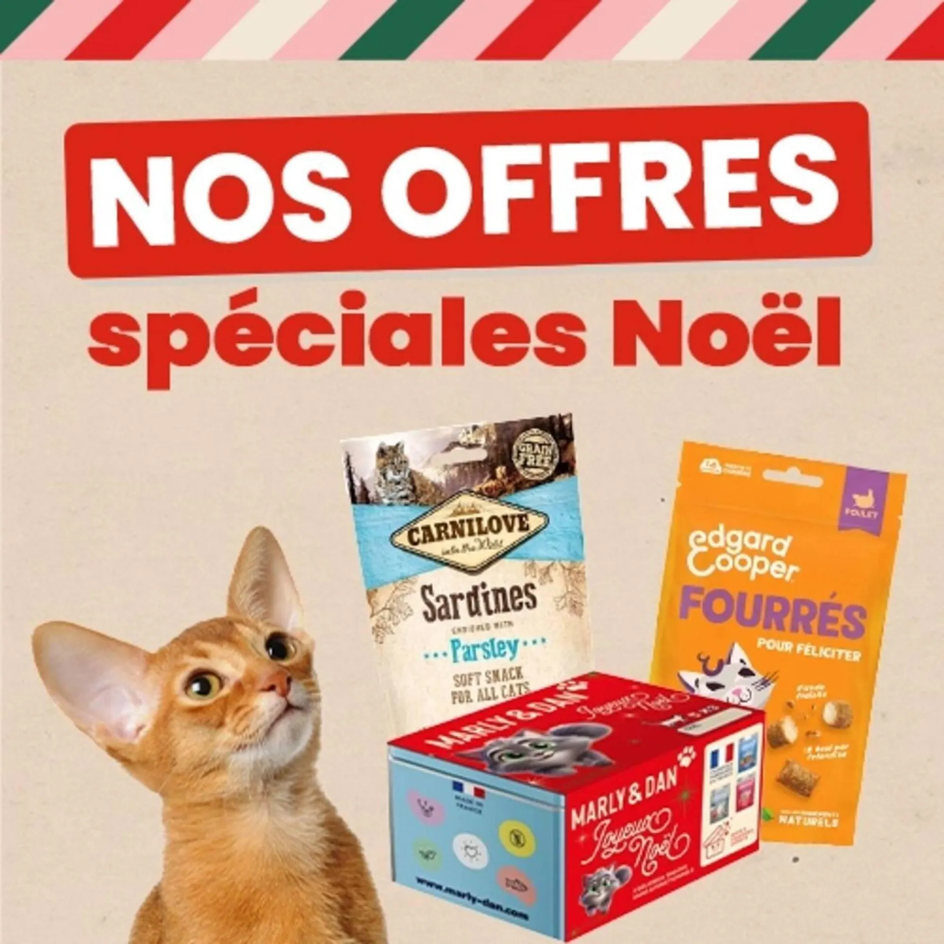 Catalogue Animalis du 15 décembre au 31 décembre 2025 - Catalogue page 2