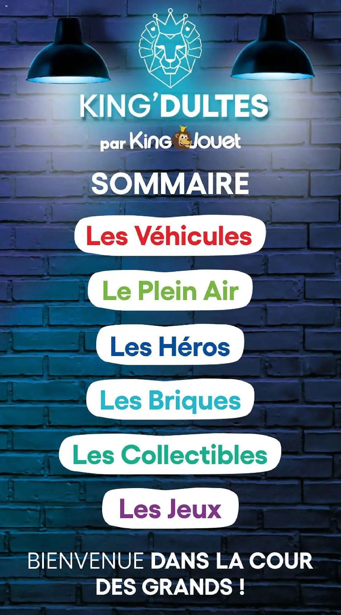 Catalogue Maxi Toys du 4 juin au 16 juin 2025 - Catalogue page 2