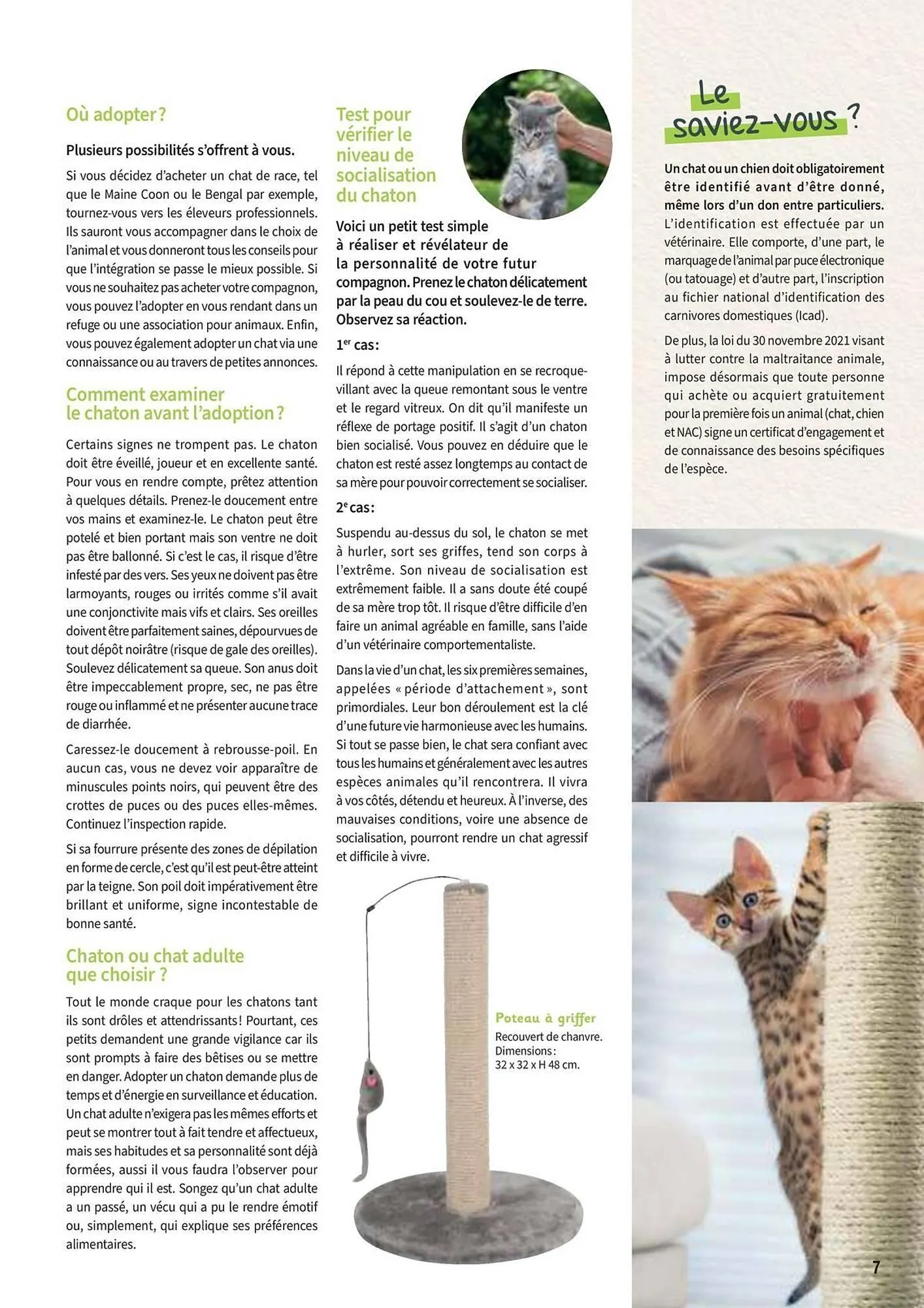 Catalogue Point Vert du 30 avril au 31 décembre 2025 - Catalogue page 7