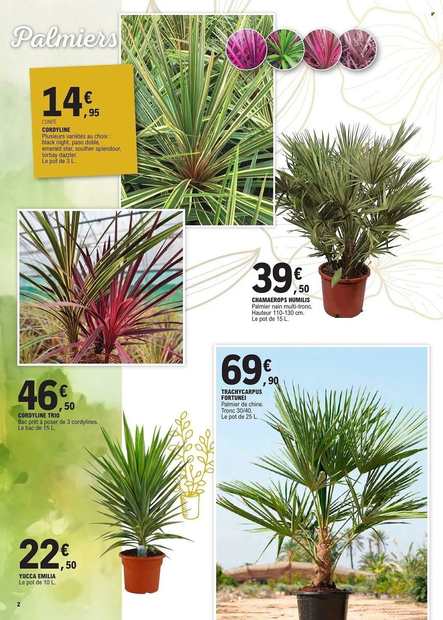 Catalogue E.Leclerc du 10 mars au 21 mars 2026 - Catalogue page 2