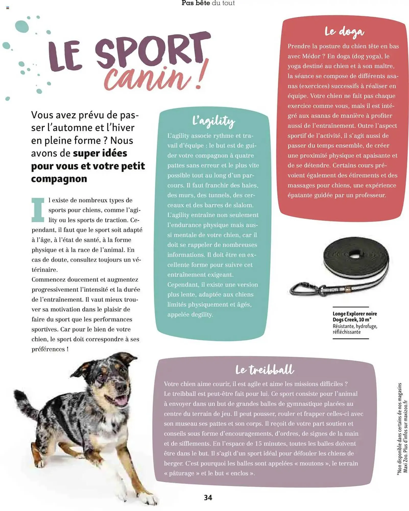 Catalogue Maxi Zoo du 1 octobre au 20 novembre 2025 - Catalogue page 34