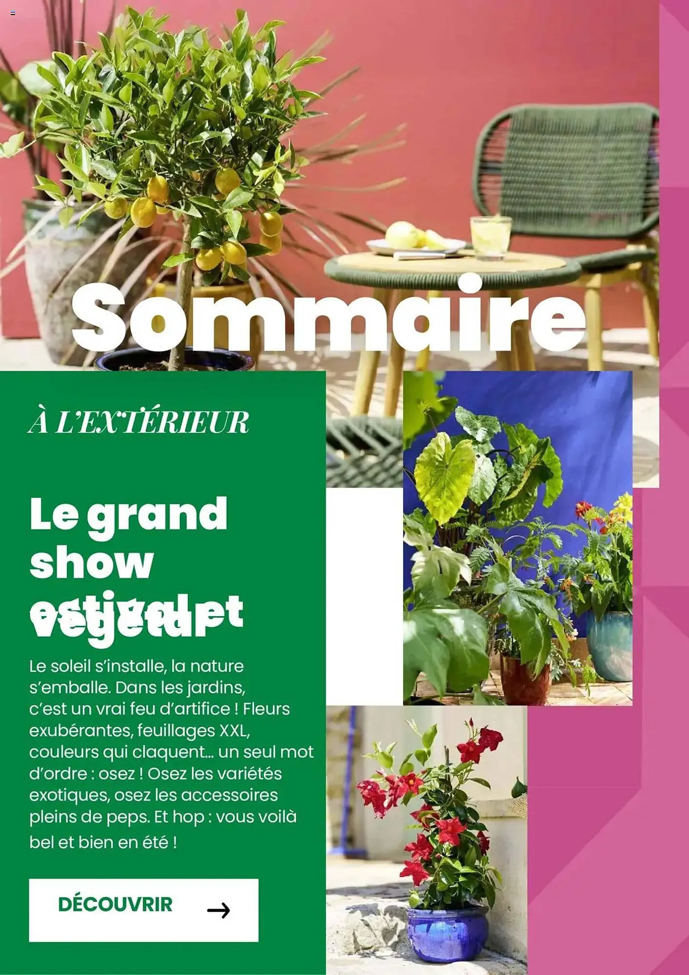 Catalogue Truffaut du 7 mai au 31 juillet 2025 - Catalogue page 4