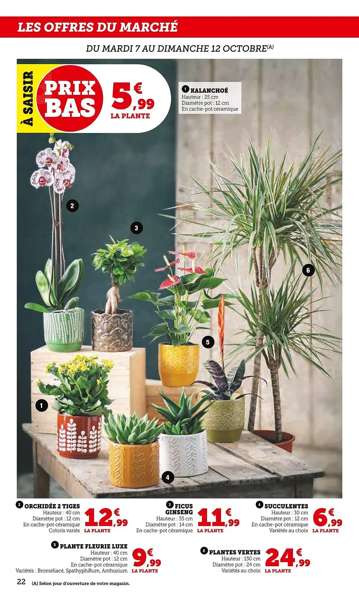 Catalogue Super U du 7 octobre au 19 octobre 2025 - Catalogue page 22