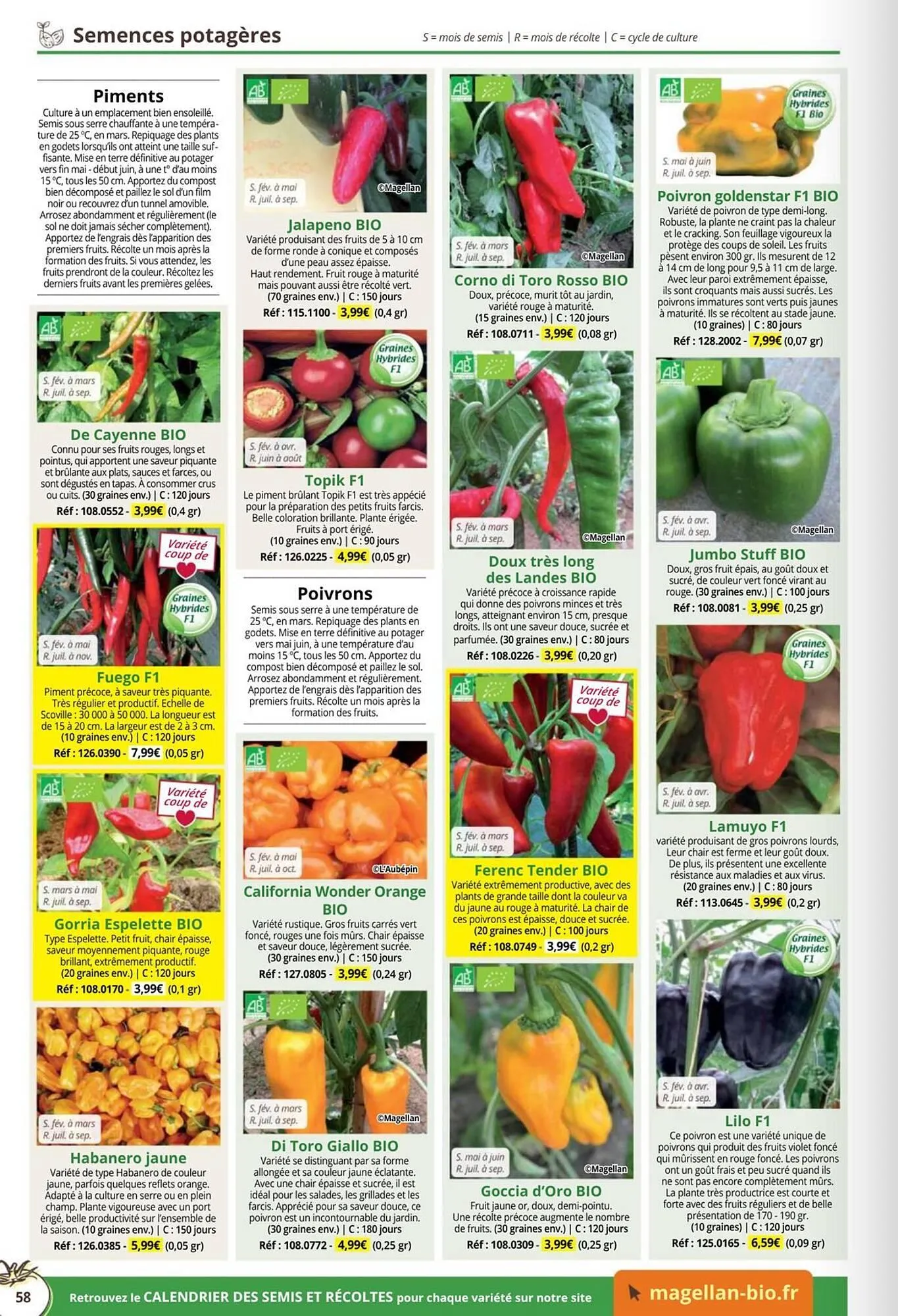 Catalogue Magellan du 1 janvier au 31 décembre 2026 - Catalogue page 58