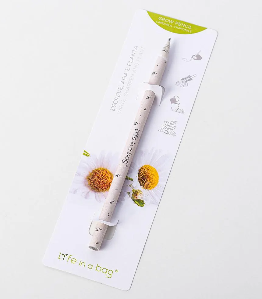 Crayon rose à planter avec des graines de Camomille