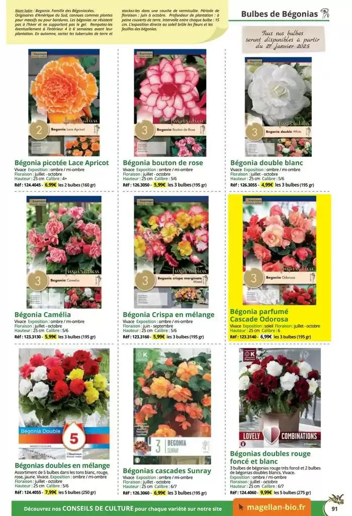 Catalogue Général 2025 du 16 décembre au 31 décembre 2025 - Catalogue page 91