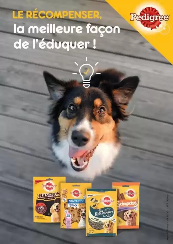 Le guide CHIENS & CHATS du 30 avril au 31 décembre 2025 - Catalogue page 28