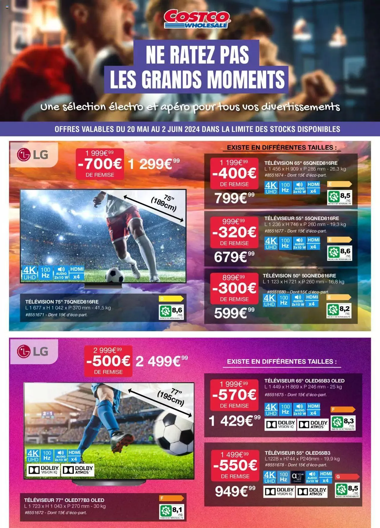 Costco prospectus - 0