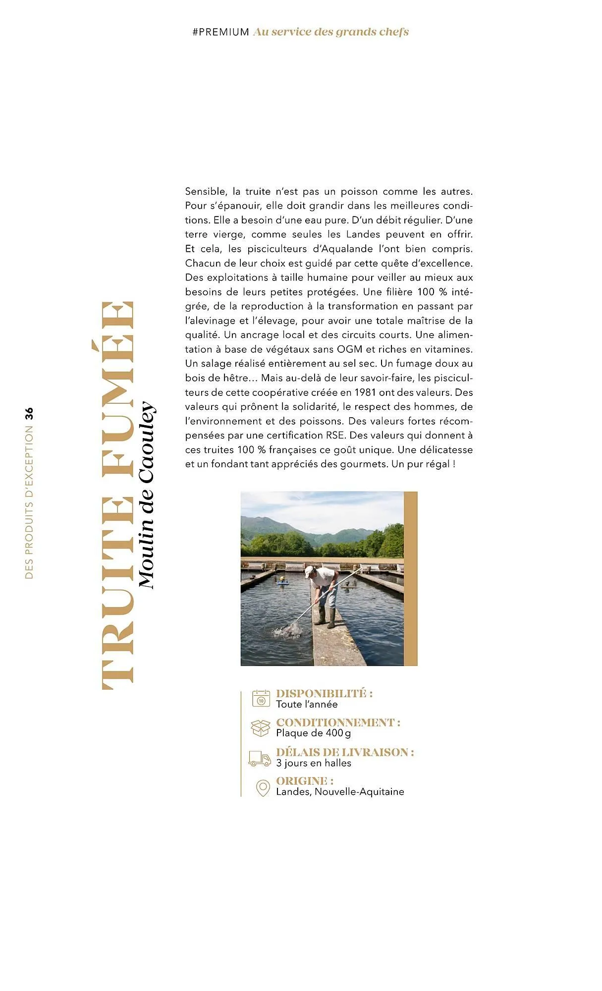 Catalogue METRO du 1 juillet au 31 décembre 2025 - Catalogue page 36