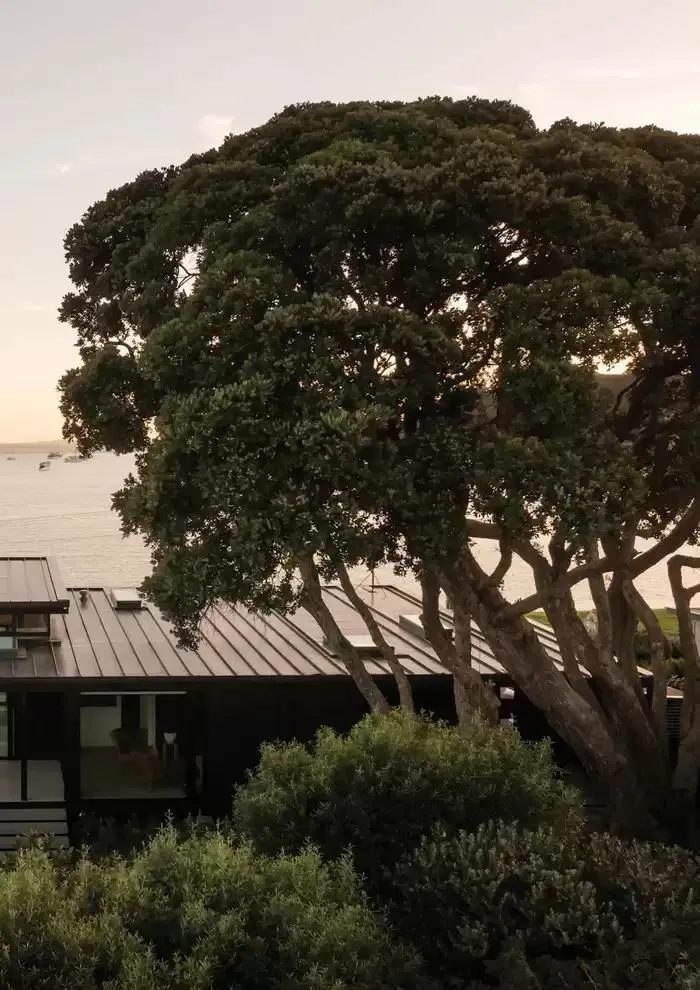 C O N T R A C T L O O K B O O K du 7 janvier au 31 décembre 2025 - Catalogue page 259