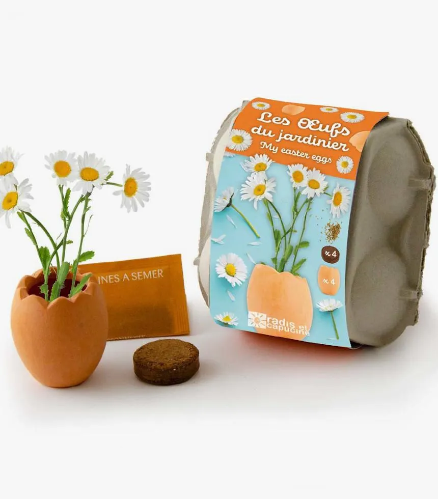 Kit DIY à planter pour enfants - Radis et Capucine