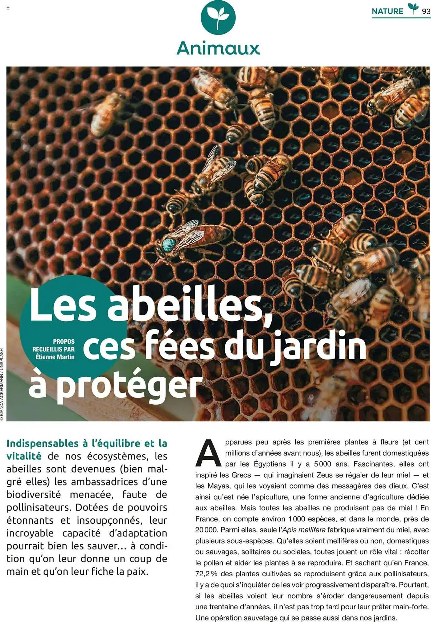 Catalogue Mr Bricolage du 22 septembre au 15 novembre 2025 - Catalogue page 93