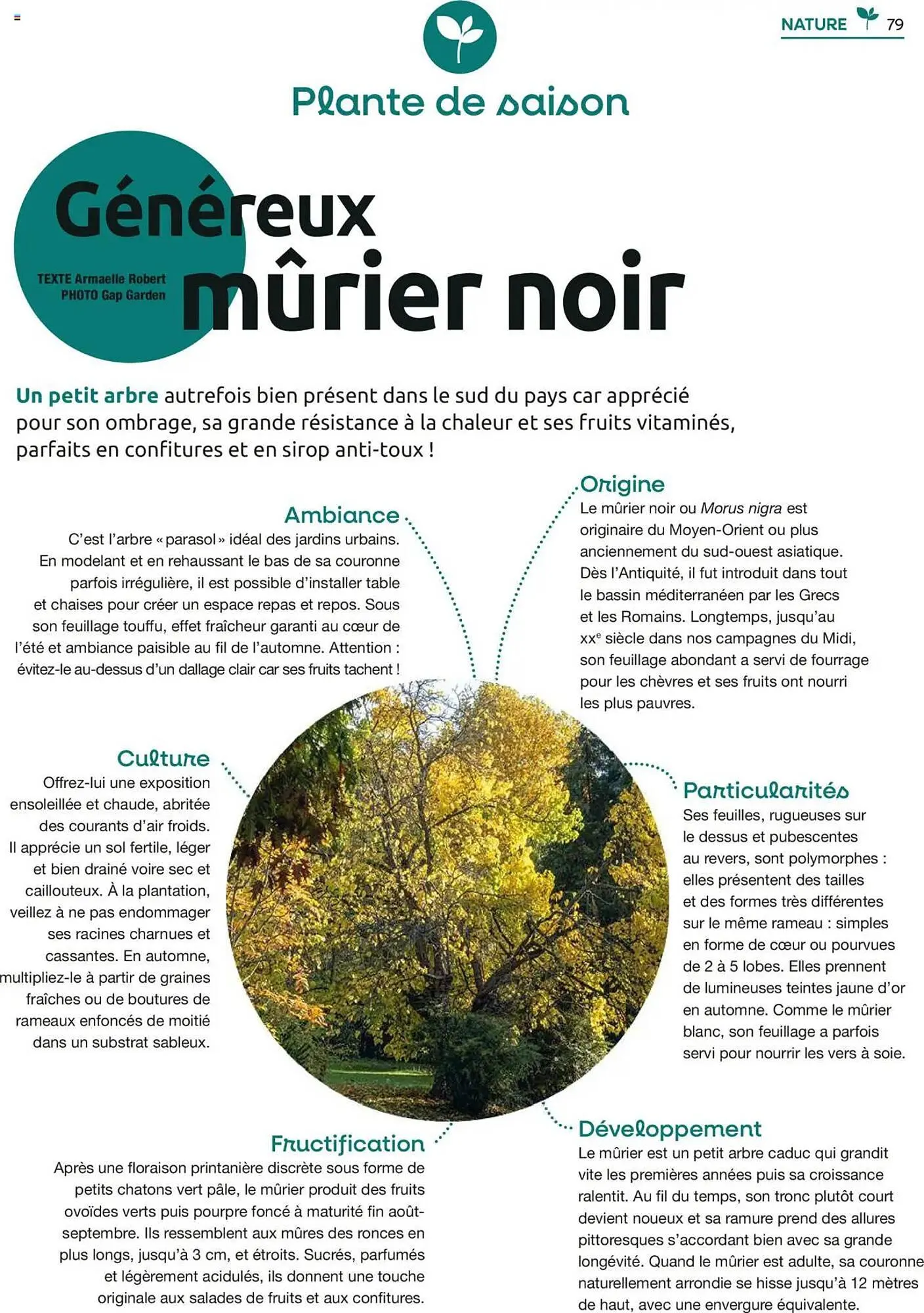 Catalogue Mr Bricolage du 22 septembre au 15 novembre 2025 - Catalogue page 79