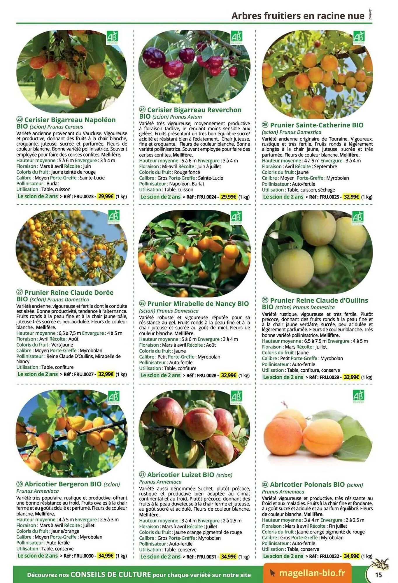 Catalogue Magellan du 16 décembre au 31 décembre 2025 - Catalogue page 15