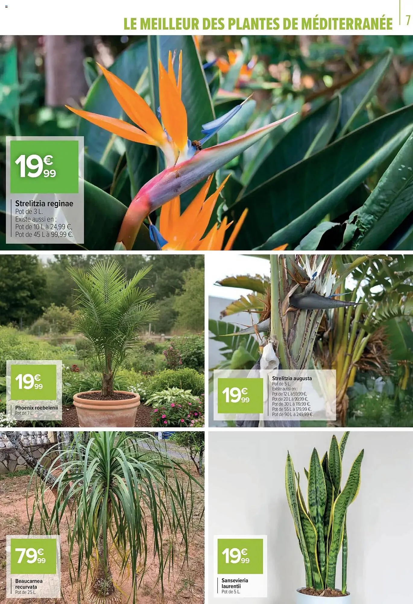 Catalogue Carrefour du 11 mars au 18 avril 2026 - Catalogue page 7