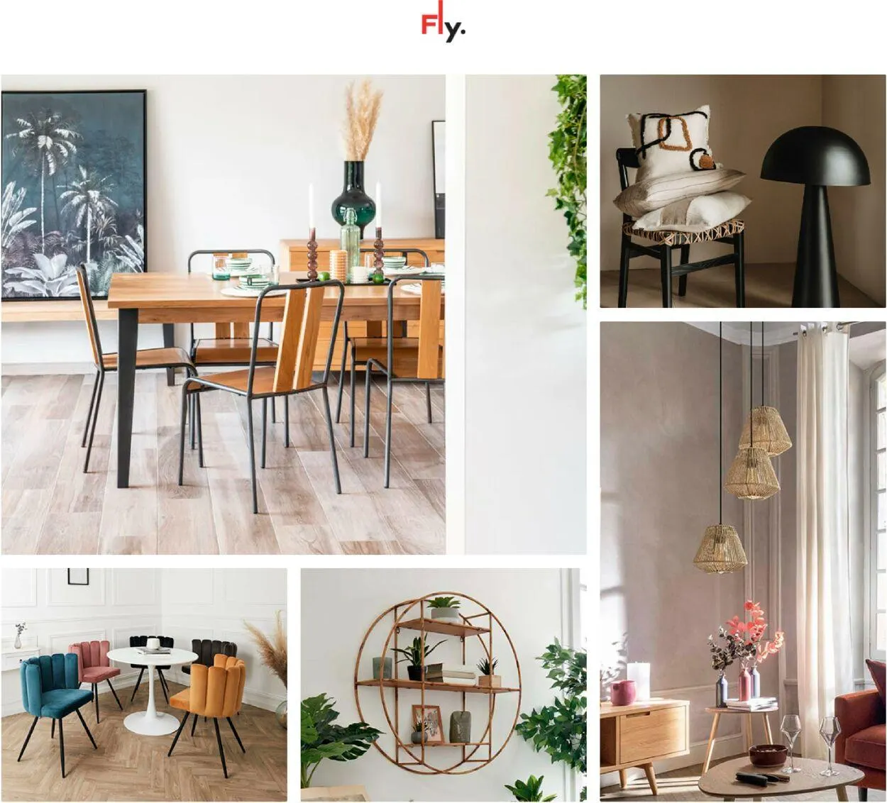 Fly Catalogue actuel - 1