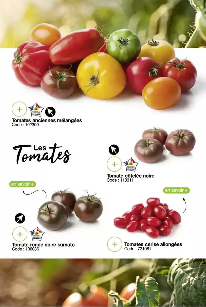 Menus de printemps du 20 mars au 12 avril 2025 - Catalogue page 4