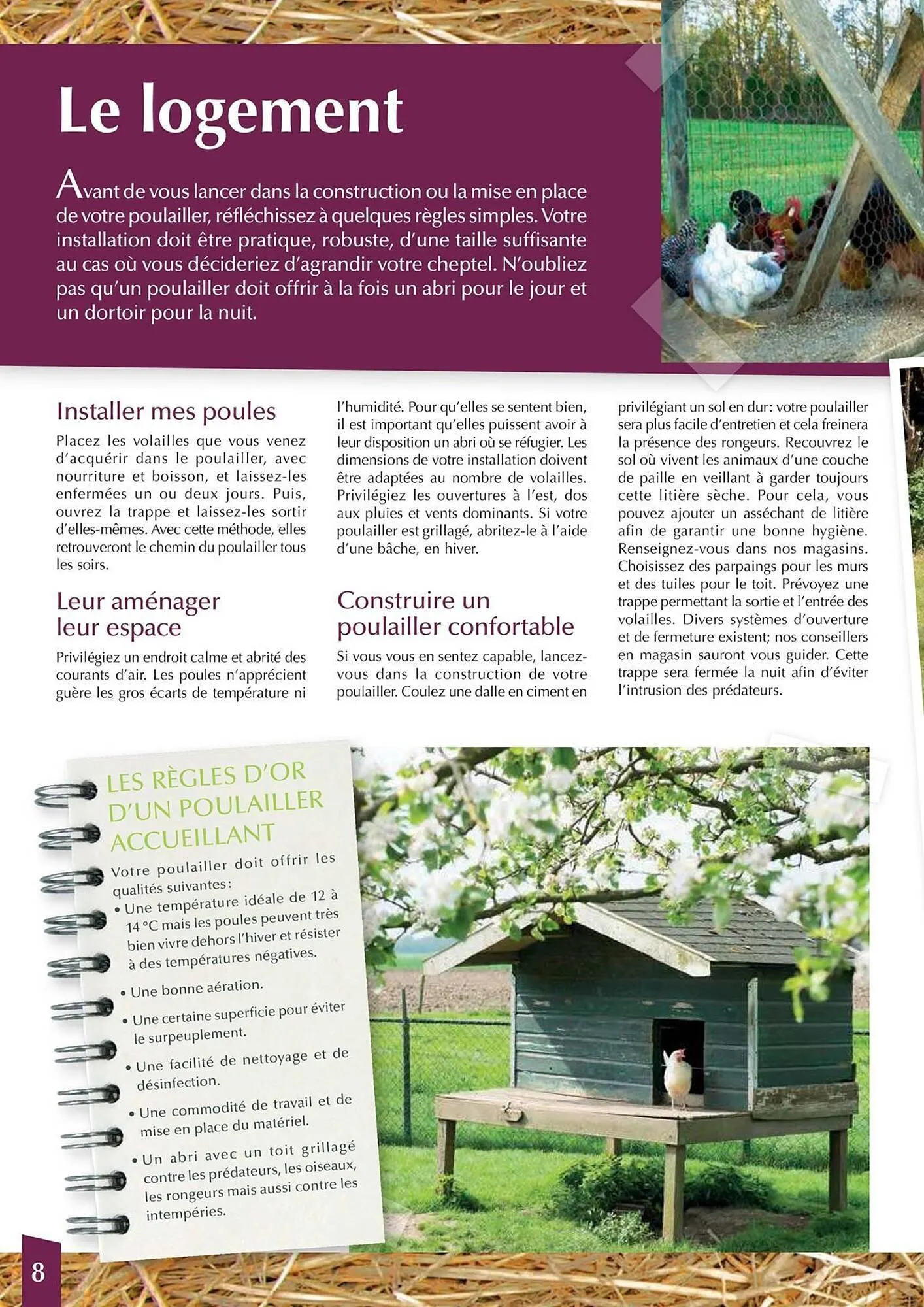 Catalogue Point Vert du 30 avril au 31 décembre 2025 - Catalogue page 8