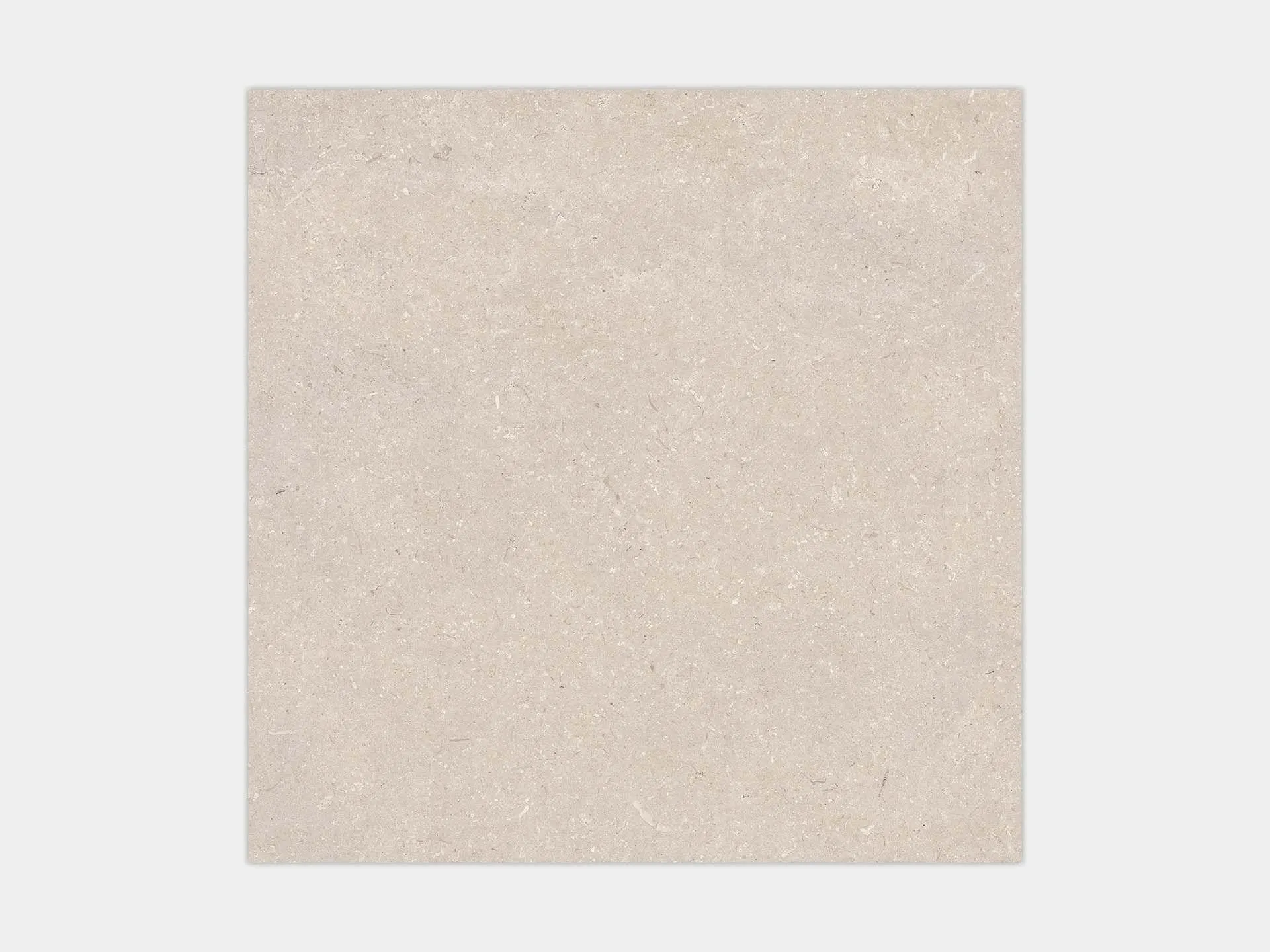 Coral Caliza 120X120