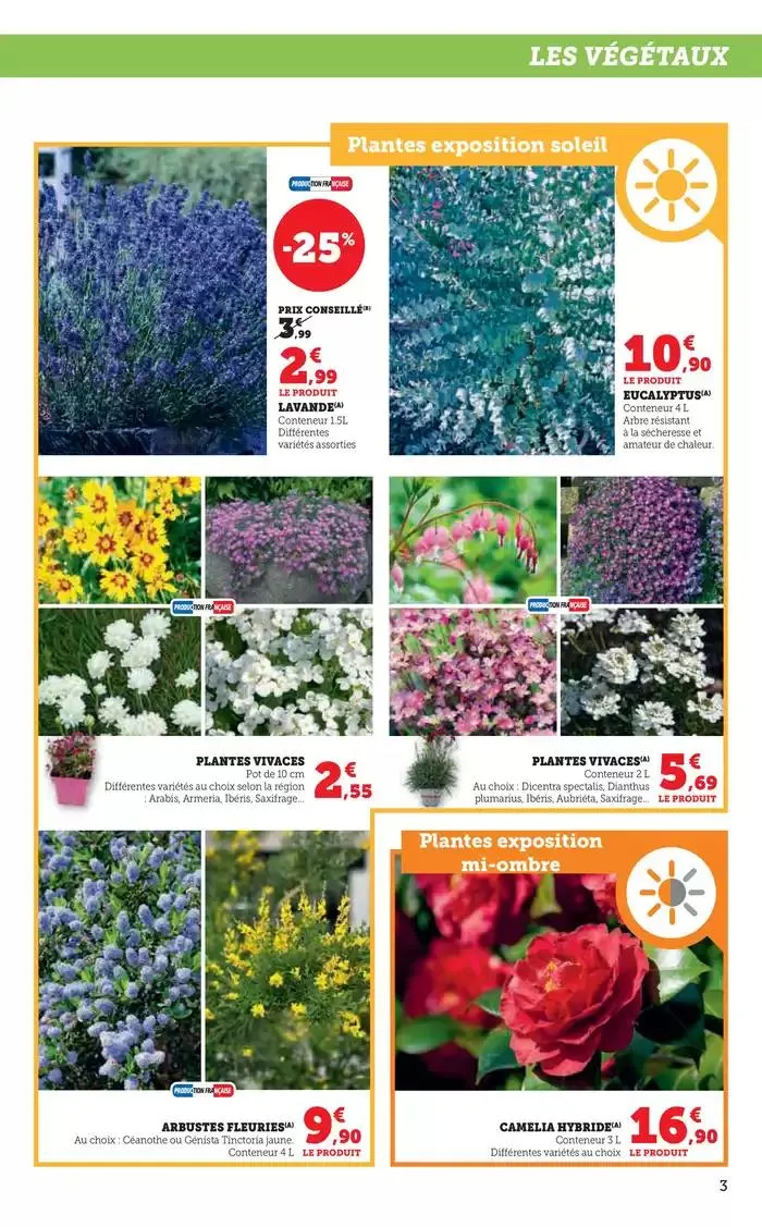 Spécial Jardin du 18 février au 16 mars 2025 - Catalogue page 3