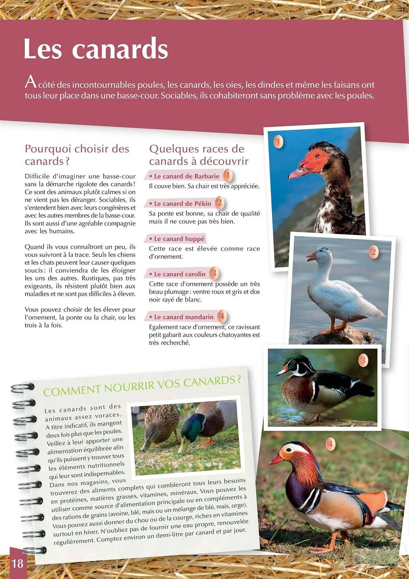 Catalogue Point Vert du 30 avril au 31 décembre 2025 - Catalogue page 18