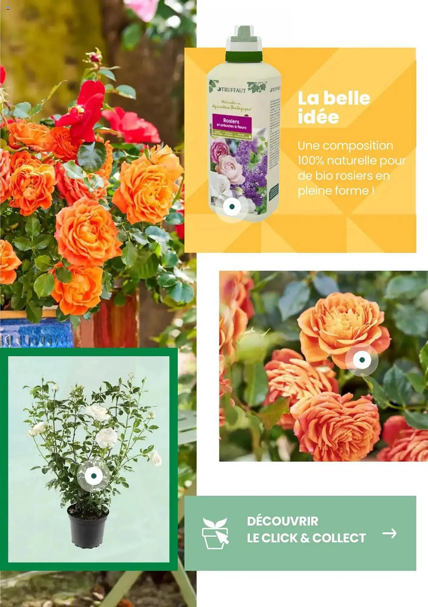 Catalogue Truffaut du 7 mai au 31 juillet 2025 - Catalogue page 11