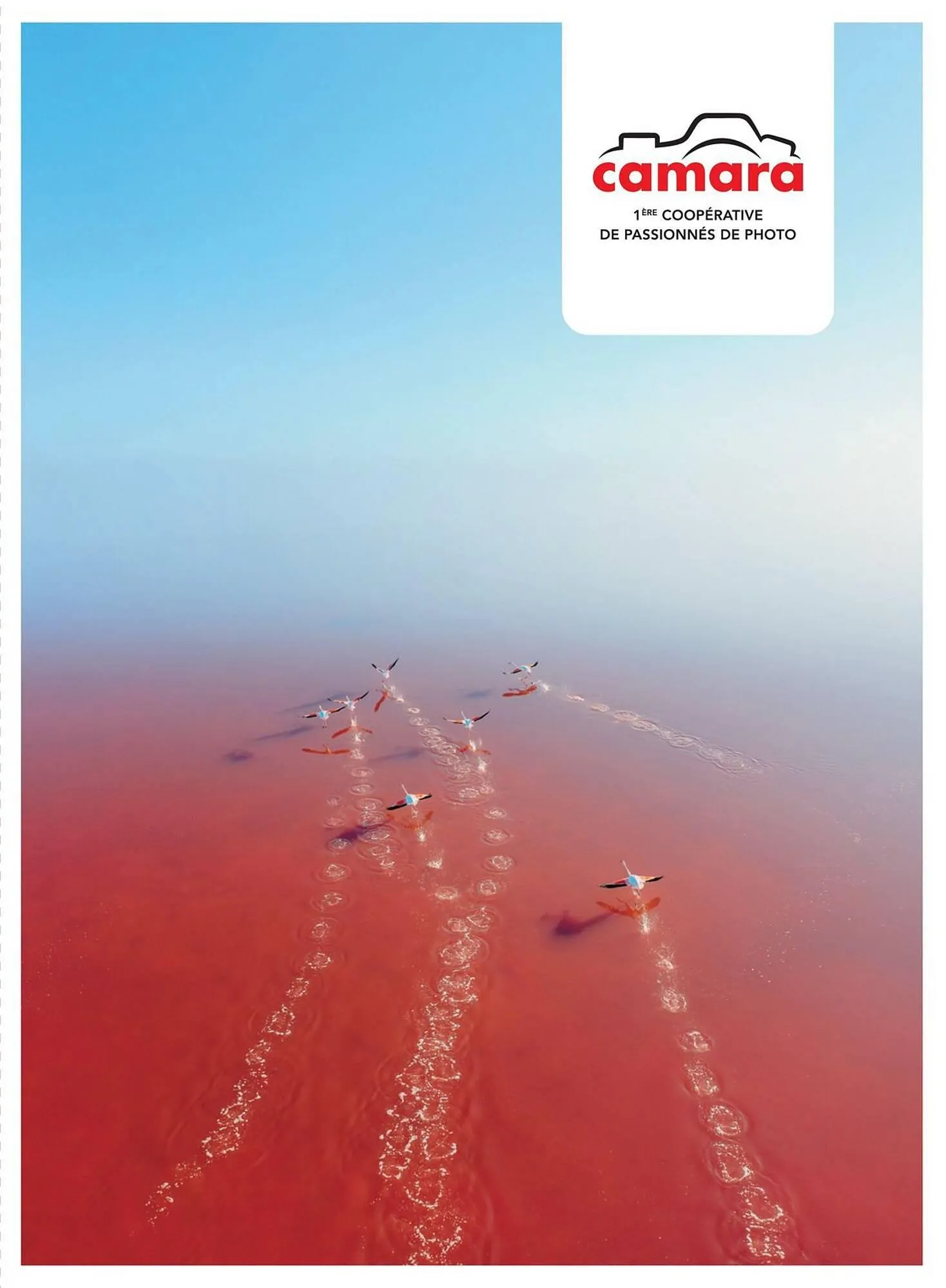 Catalogue Camara du 6 janvier au 31 décembre 2026 - Catalogue page 1