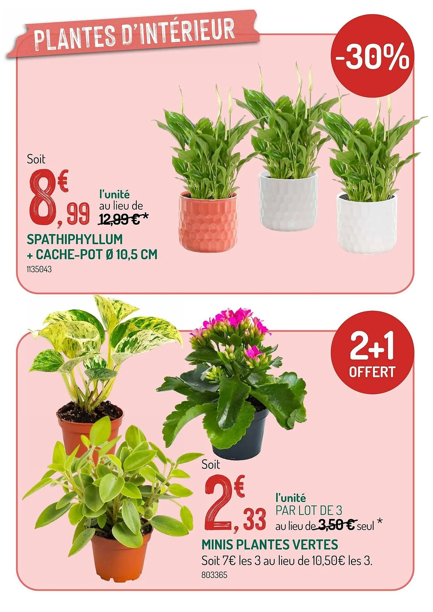 Catalogue Botanic du 17 octobre au 6 novembre 2025 - Catalogue page 5