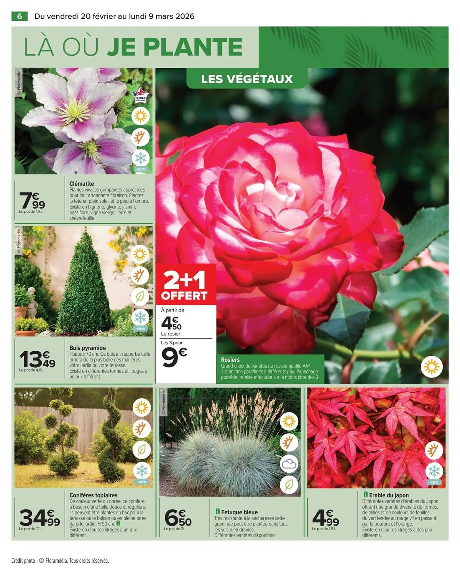 Catalogue Carrefour du 20 février au 9 mars 2026 - Catalogue page 8