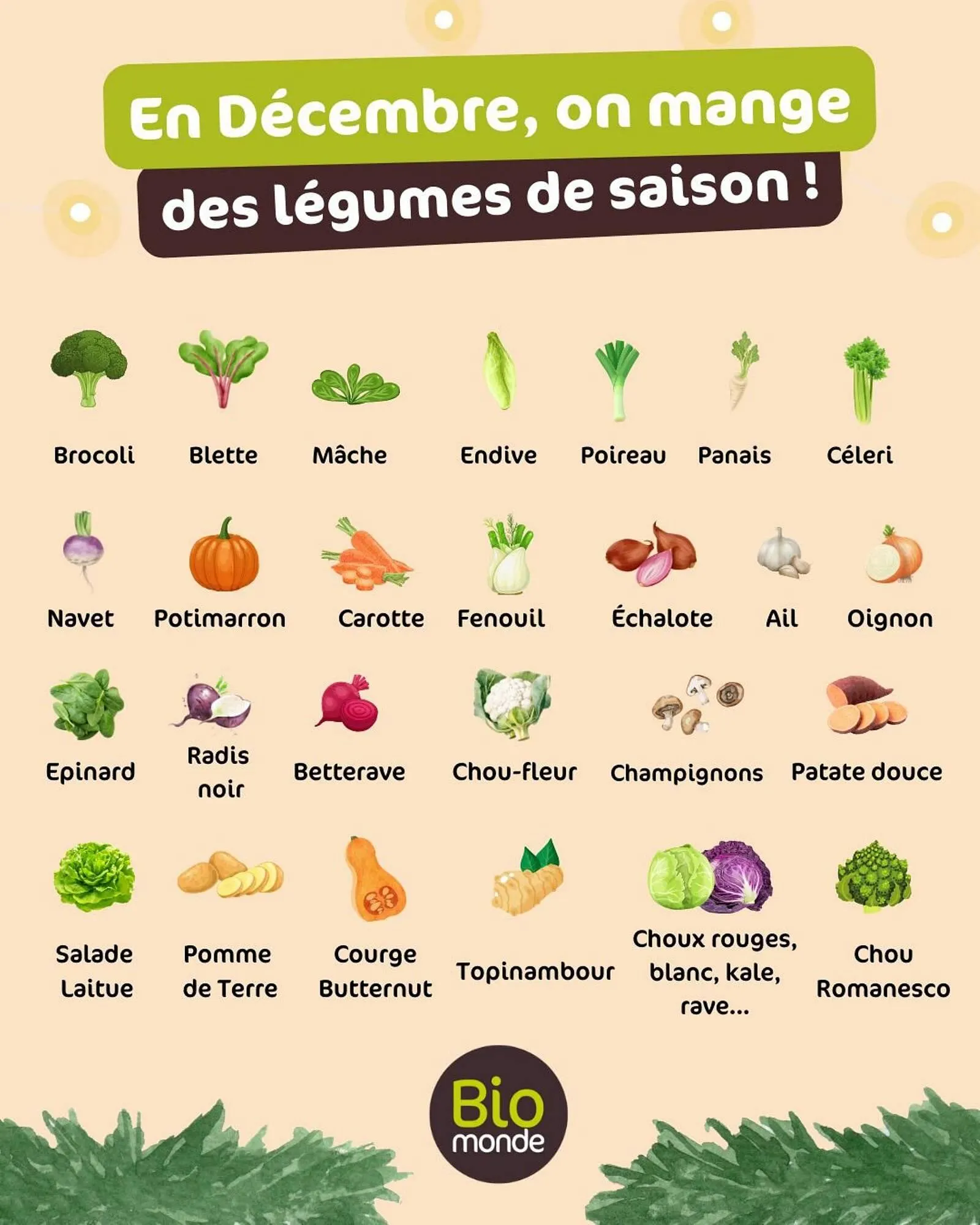 Catalogue Biomonde du 2 décembre au 31 décembre 2025 - Catalogue page 2