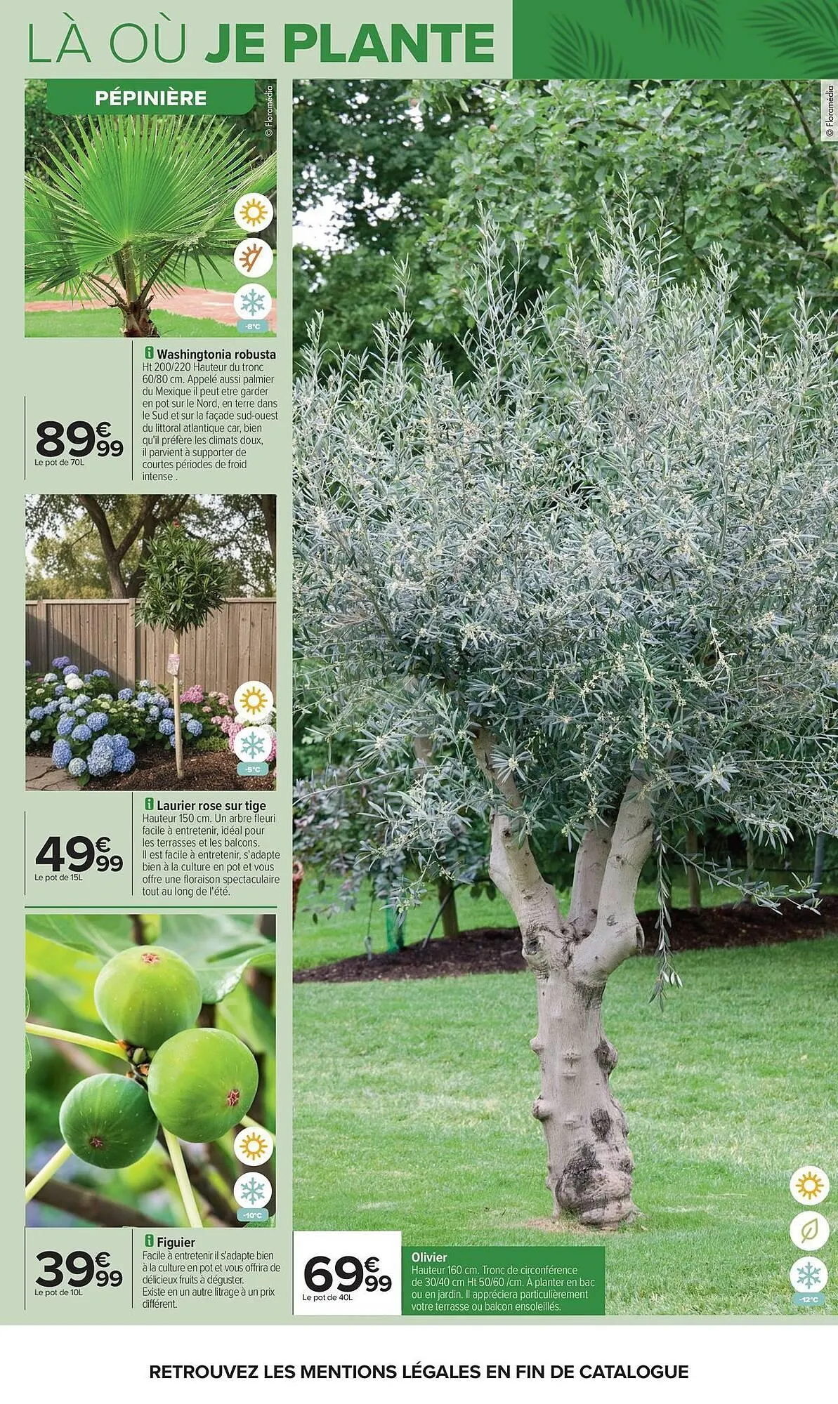 Catalogue Carrefour du 14 avril au 27 avril 2026 - Catalogue page 9