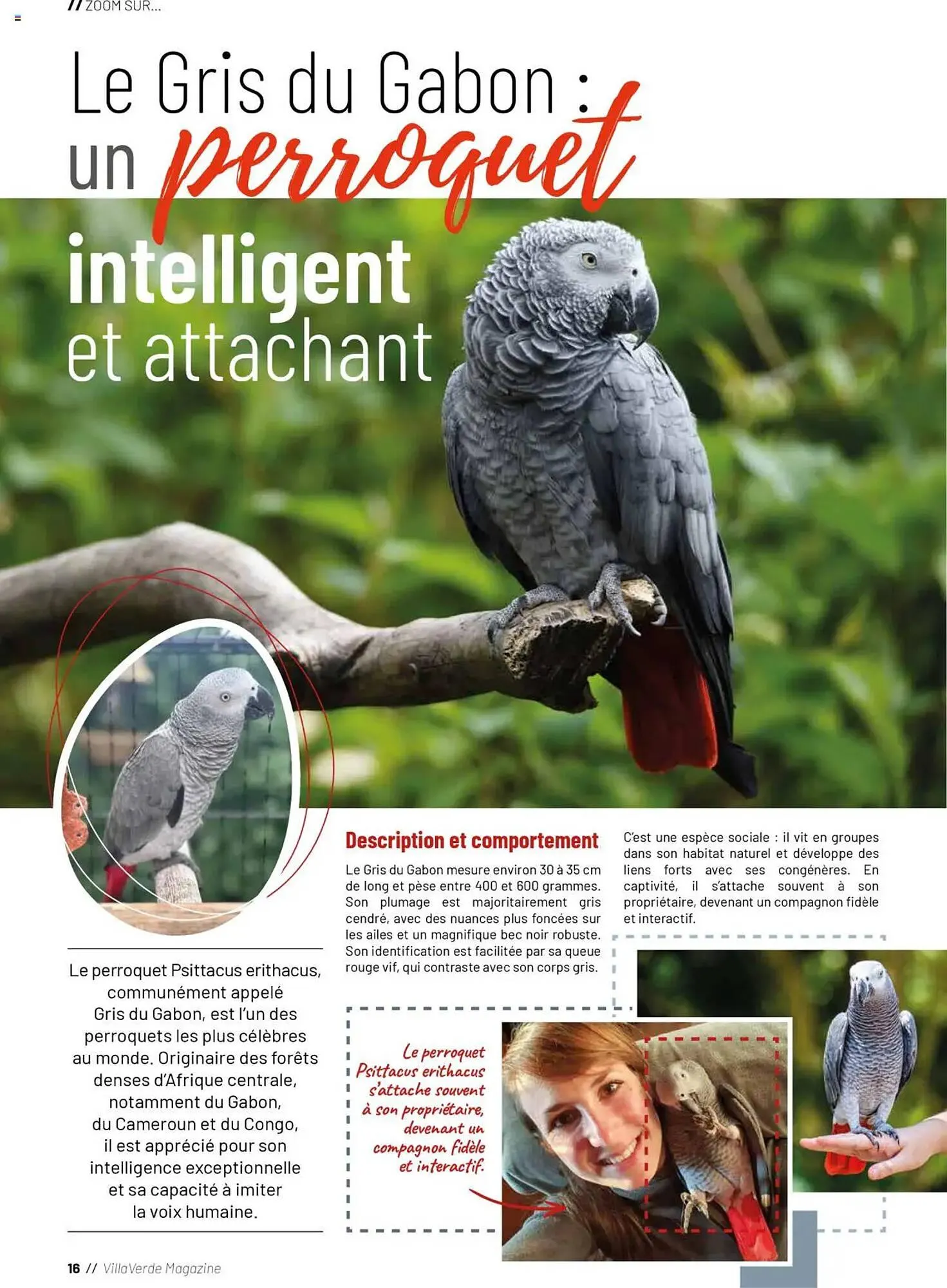 Catalogue VillaVerde du 20 mai au 1 janvier 2026 - Catalogue page 16