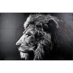 Toile imprimée lion 78x118cm