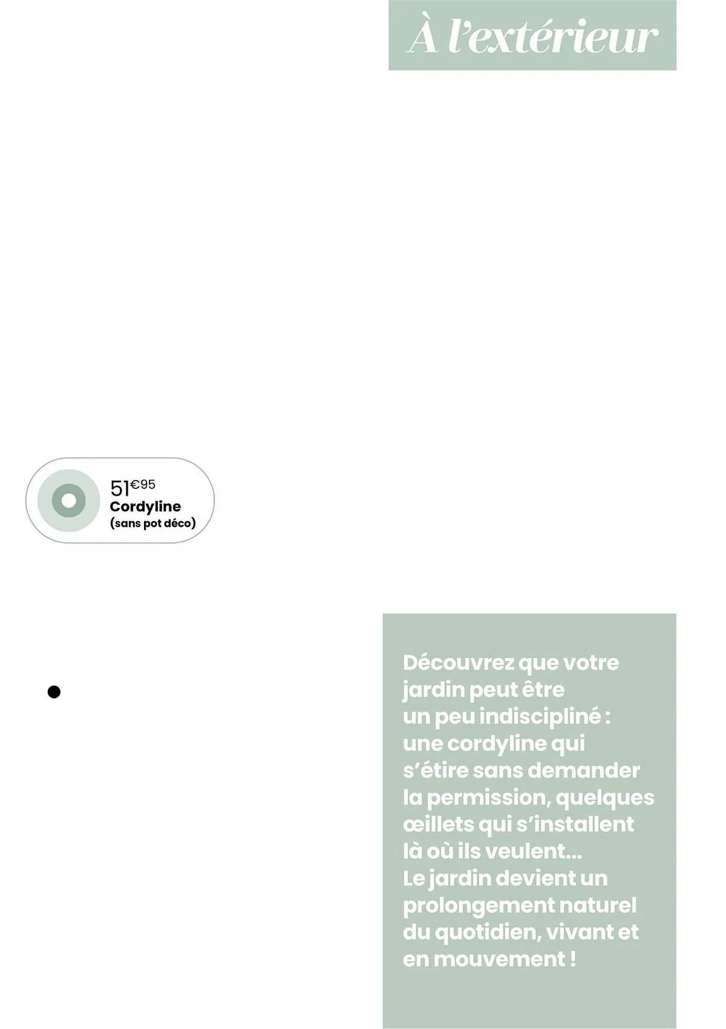 Catalogue Truffaut du 7 avril au 31 mai 2026 - Catalogue page 5