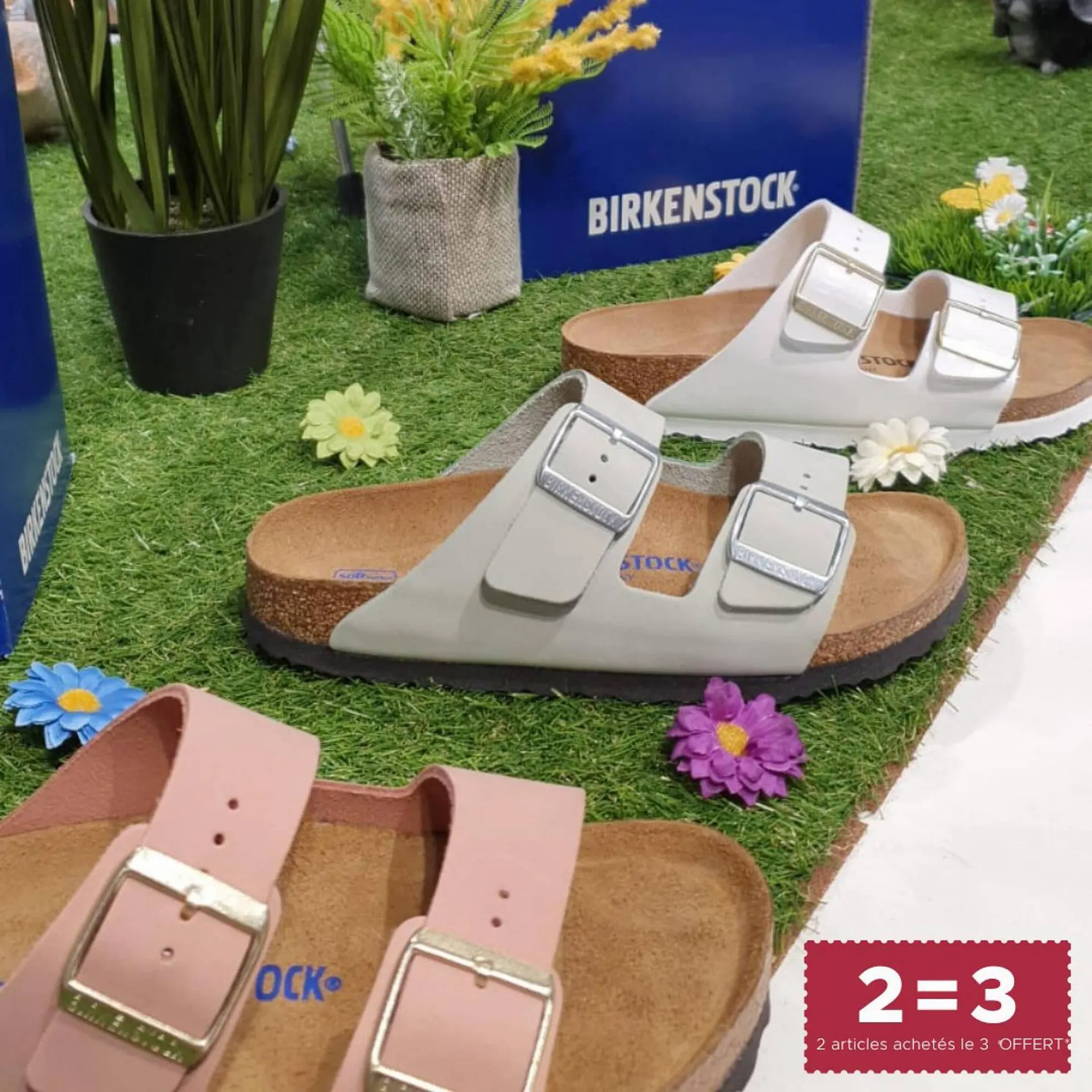 Catalogue CCV du 5 juillet au 12 juillet 2023 - Catalogue page 5