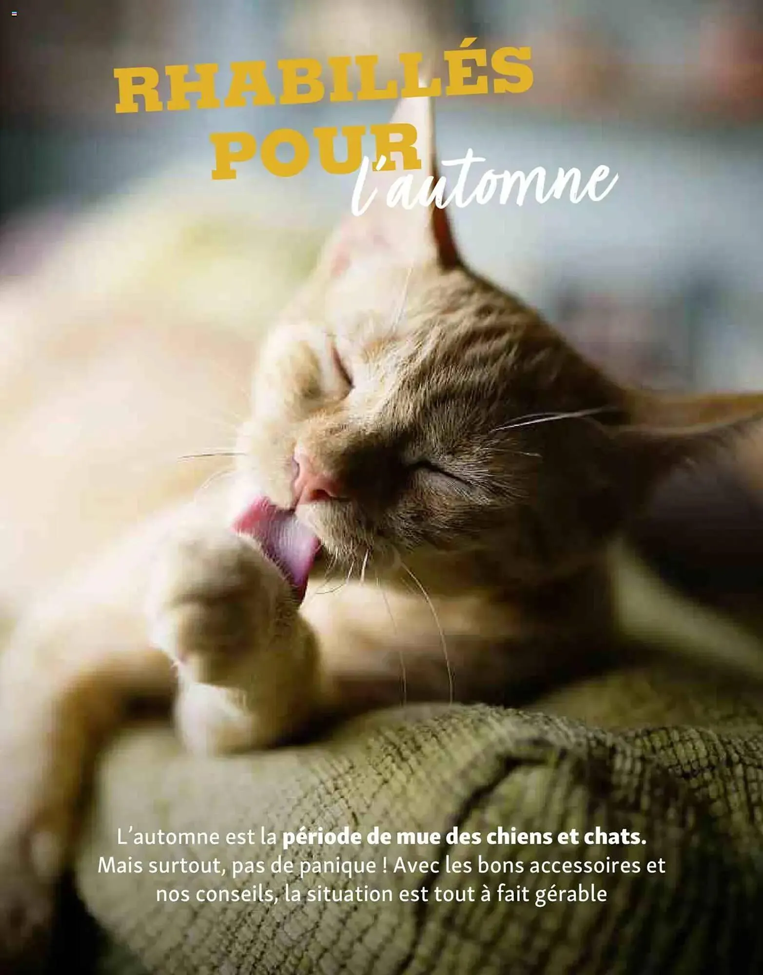 Catalogue Maxi Zoo du 1 octobre au 20 novembre 2025 - Catalogue page 16