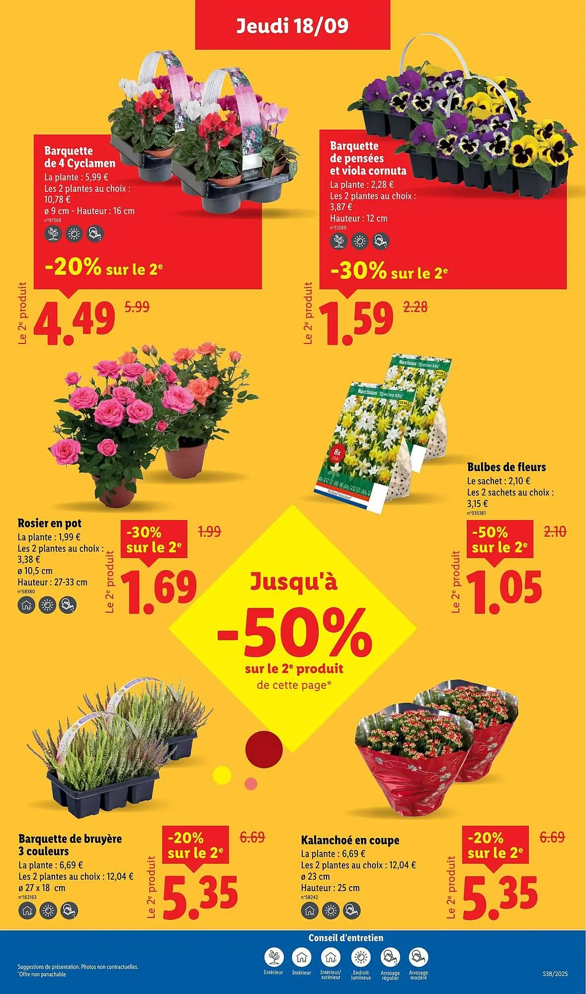 Catalogue Lidl du 18 septembre au 24 septembre 2025 - Catalogue page 31