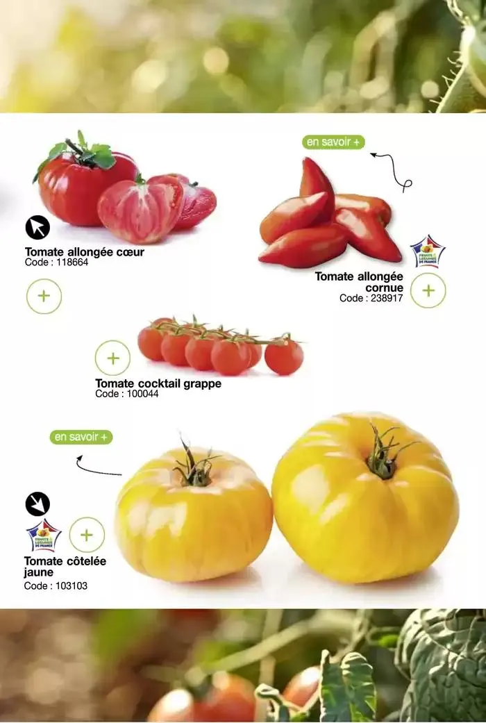 Menus de printemps du 20 mars au 12 avril 2025 - Catalogue page 5