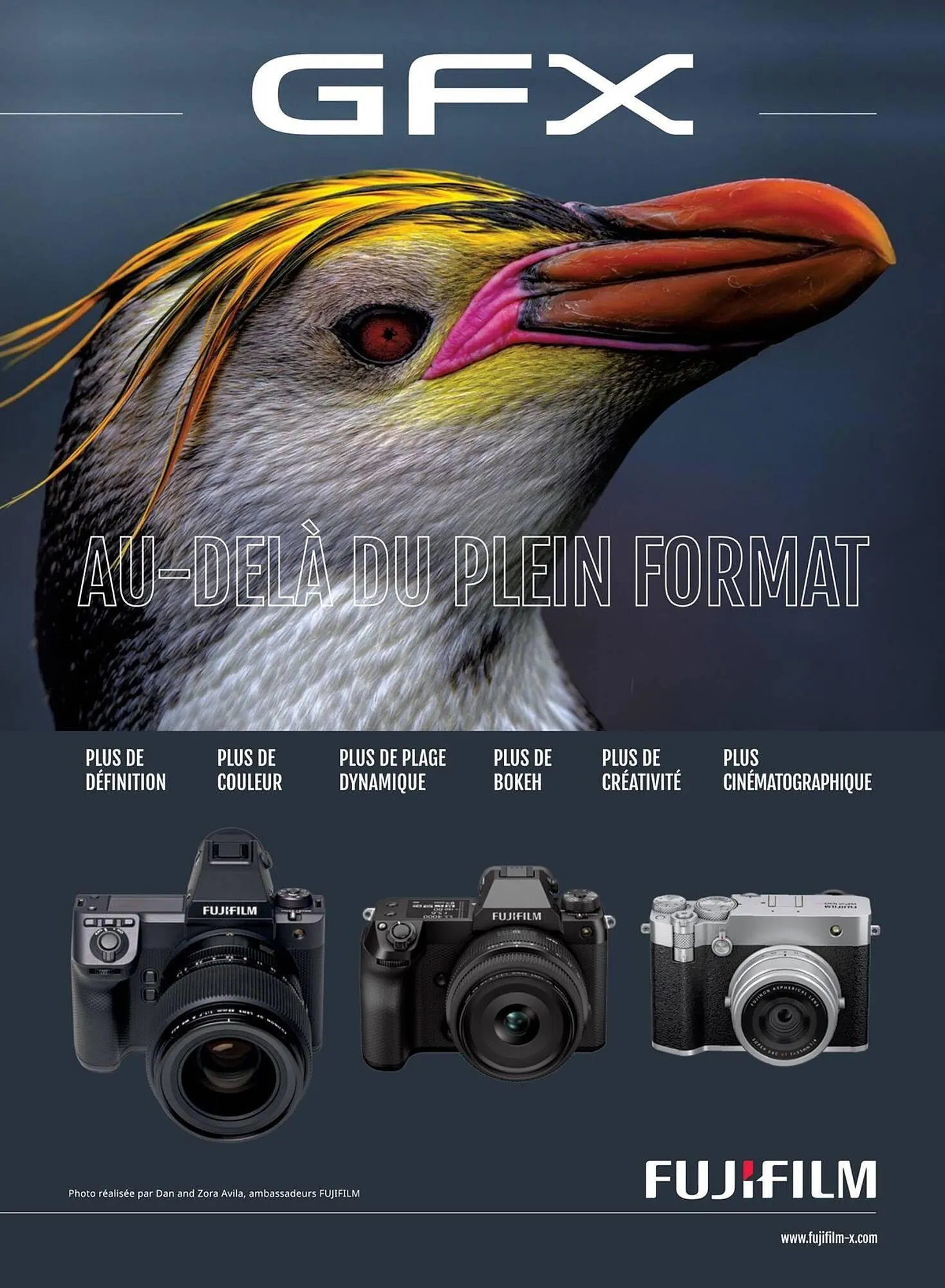 Catalogue Camara du 6 janvier au 31 décembre 2026 - Catalogue page 51